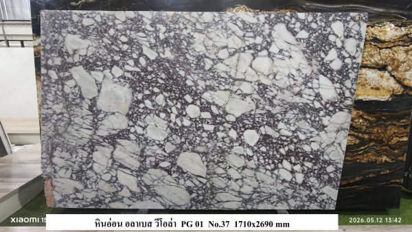 หินอ่อนอราเบสกาโต้ วิโล่า PG1 - Image 4