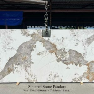 Alternative view of Sintered ลายแพนโดร่า